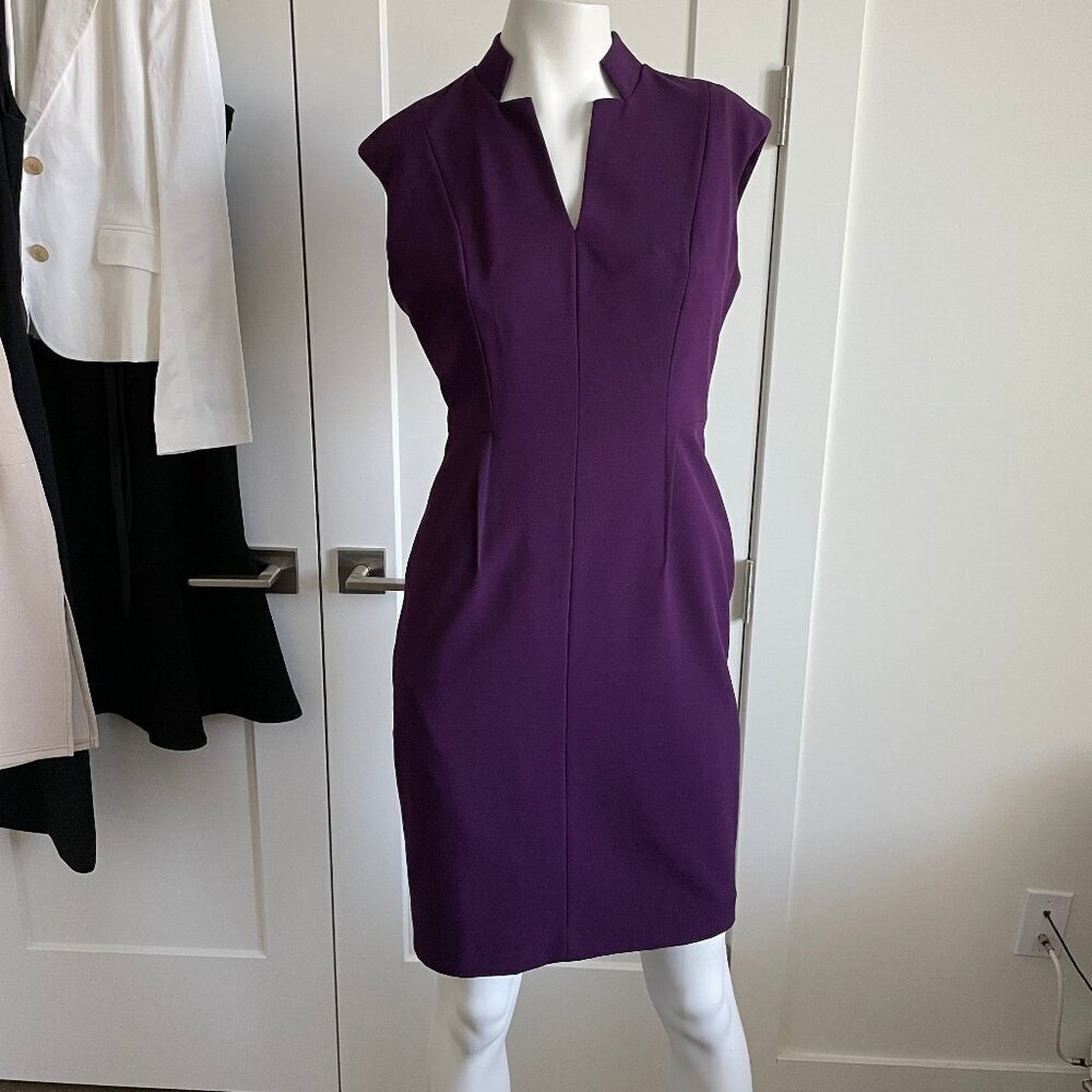 Calvin Klein Cap Slv VNeck Fitted Poly Rayon Blend Lined Midi Dress Purple Sz 6P